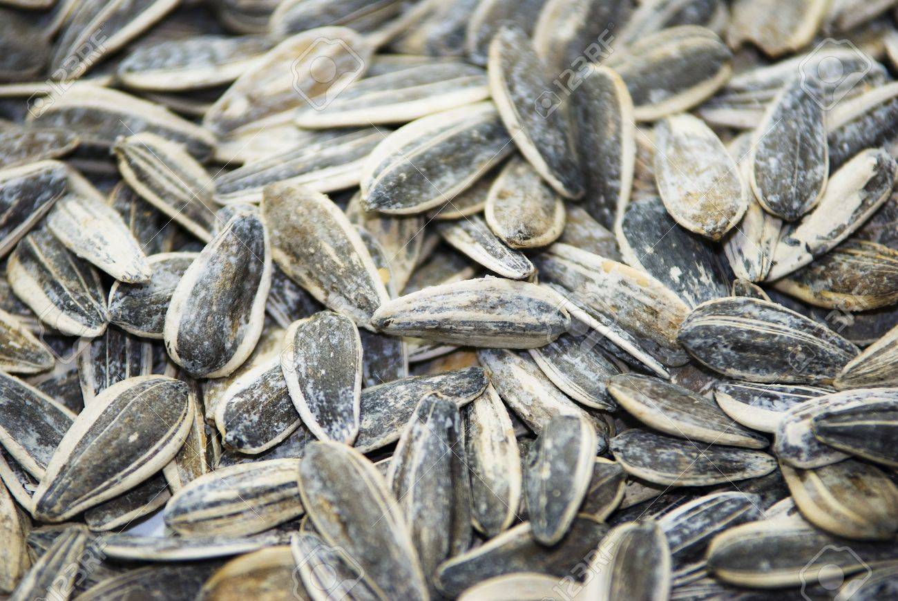 Roasted and Salted Sunflower seeds image 0