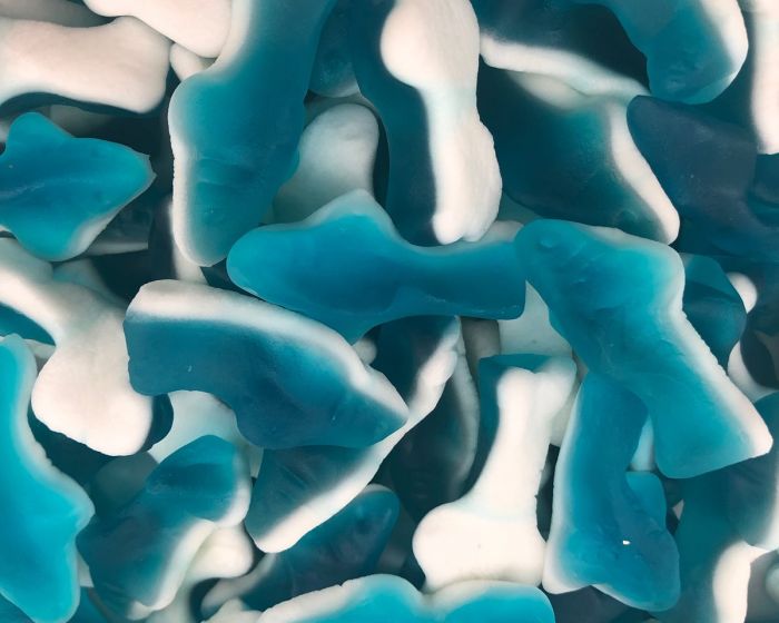 Blue Shark Candy image 0