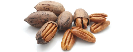 Pecans in Shell (1 lb) image 0