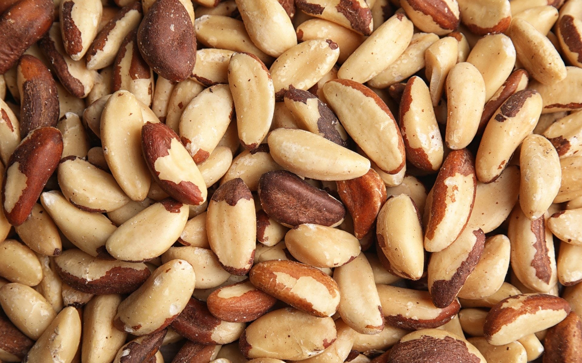 Brazil Nuts image 0